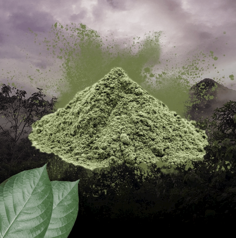 kratom_green-kratom_zeleny_Mitragyna_Speciosa.png?v=1720383657